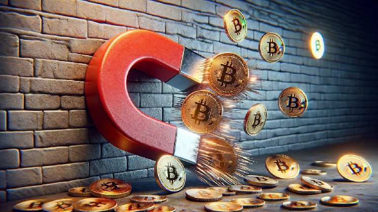 Биржевые фонды спотового биткойна в США поглотили $36 млрд: обзор 11 фондов