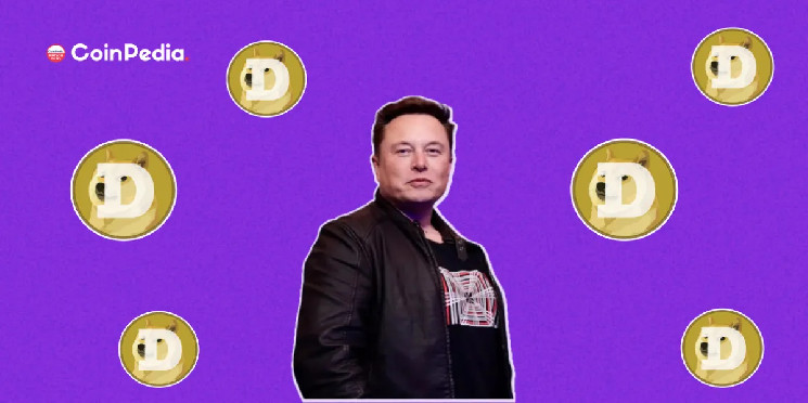 Илон Маск подтвердил владение Dogecoin и позицию в Bitcoin.