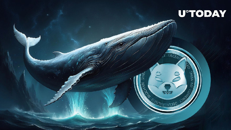 Токени SHIB: акумуляція та перспективи росту