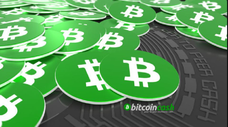 Цена Bitcoin Cash возобновляет рост после спада