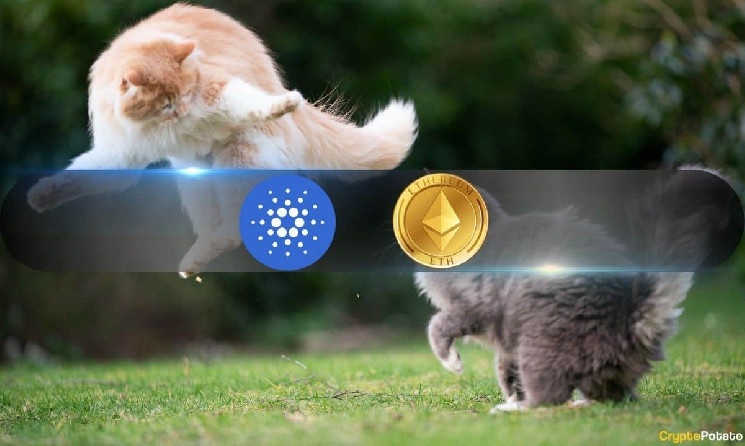 ETH против ADA: Инвестиции 2024 - Cardano или Ethereum?