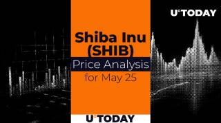 Прогноз цены SHIB: 25 мая.