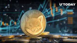 Киты Шиба Ину: транзакции на 2 триллиона SHIB