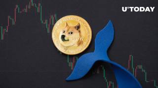Отток китов Dogecoin после ухода собаки Кабосу
