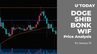 Анализ цен на криптовалюты DOGE, SHIB, BONK и WIF на 24 января