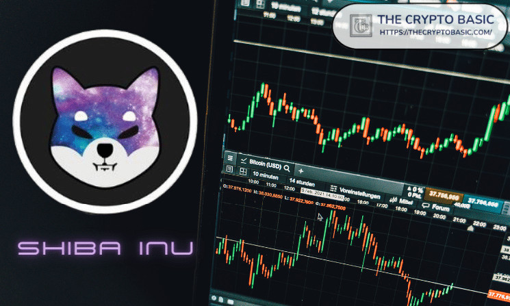 Прогноз цены SHIB: $0.00006 - следующая цель