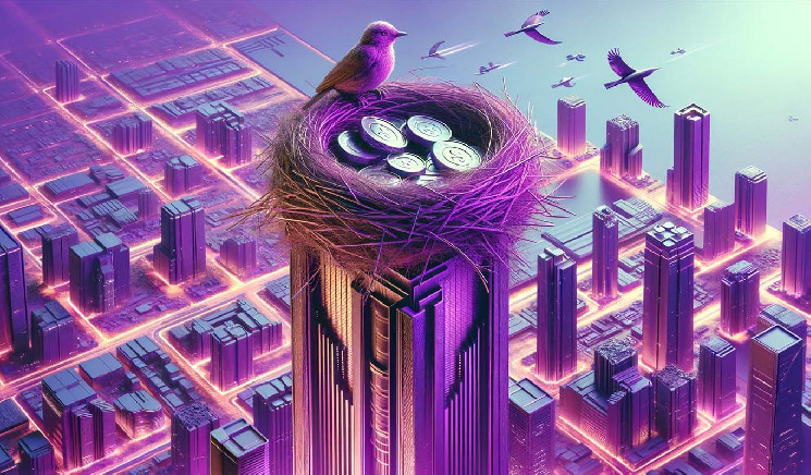 Аналітик прогнозує обвал memecoin та оновлення щодо Solana