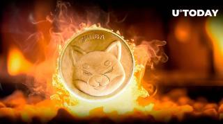 Зростання знищень токенів SHIB: криптовалюта Shiba Inu втрачає мільйони