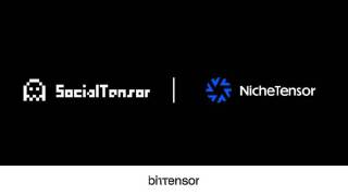 Объединение Subnet на Bittensor: SocialTensor и NicheTensor