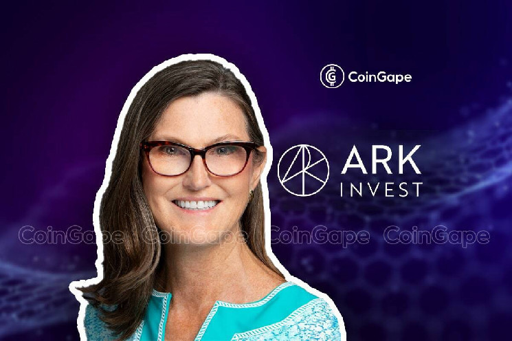 Фирма Cathie Woods Ark Invest изменяет торговые стратегии