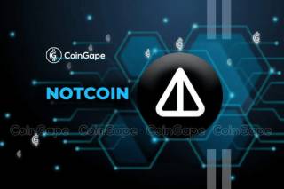 Падение Notcoin: причины и прогноз