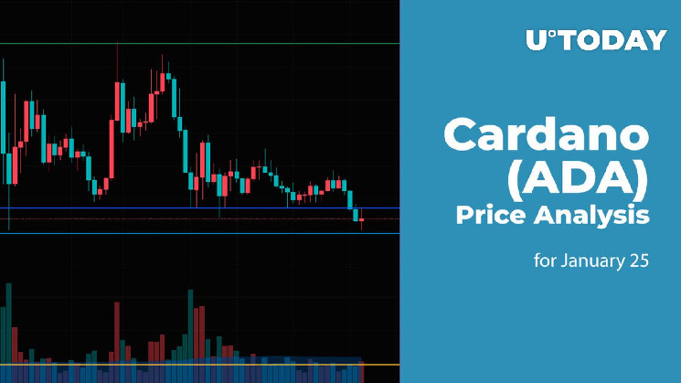 Анализ цены Cardano (ADA) на 25 января