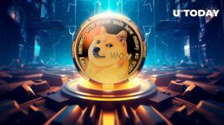 Зростання транзакцій Dogecoin на $1 мільйон: що це означає?