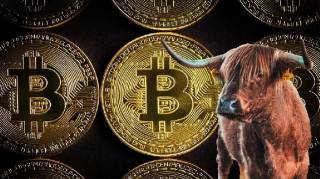 Варіанти китів: новий рекорд Bitcoin до кінця місяця