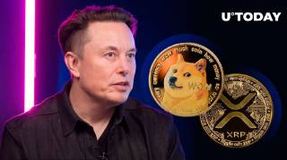 XRP, DOGE Армии в восторге от поста Илона Маска на X