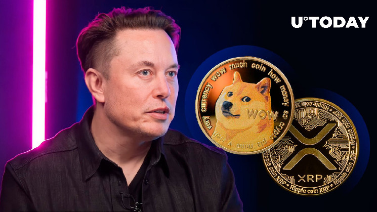 XRP, DOGE Армии в восторге от поста Илона Маска на X