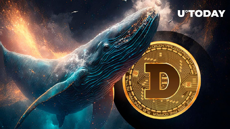 Киты набрали 27.78 млрд Dogecoin: Что происходит?