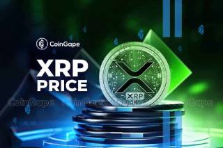 Прогноз цены XRP: значительное снижение за 24 часа.