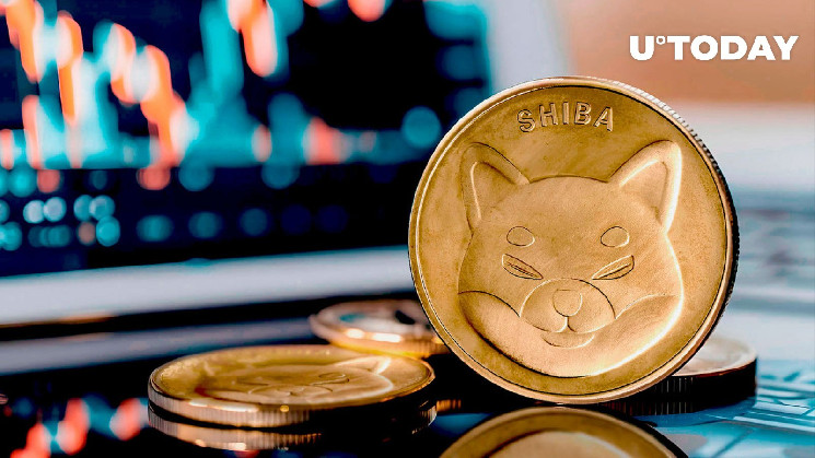 Волатильность Shiba Inu: причины и прогноз