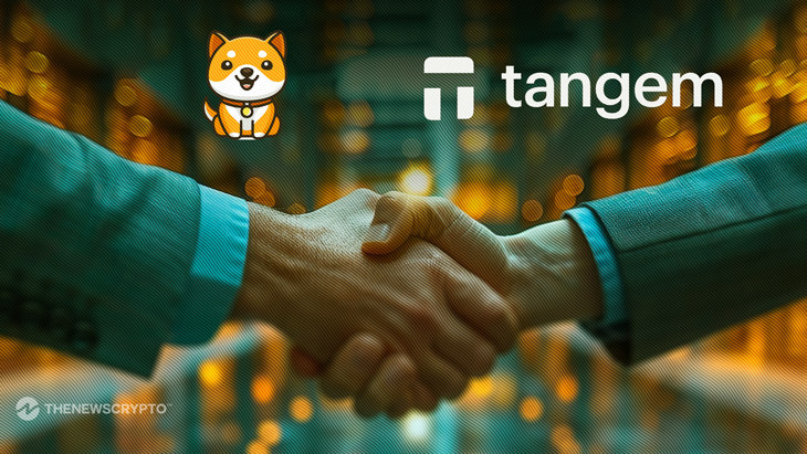 Партнерство BabyDoge с Tangem: новый безопасный аппаратный кошелек