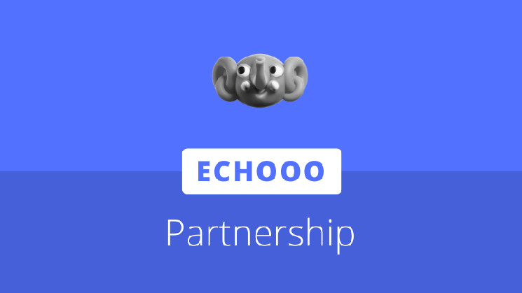 Партнерство Neo и Echooo Wallet: новые возможности для пользователей Neo N3