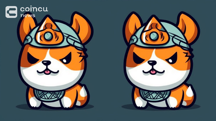 Floki Name Service: домены .floki на основной сети BNB Chain