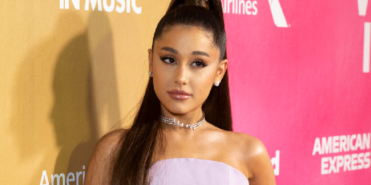 Solana Meme Coin Michi поднялся на 18%: История за один день