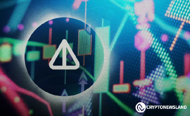 Как NOT, OM и XMR привлекают инвесторов