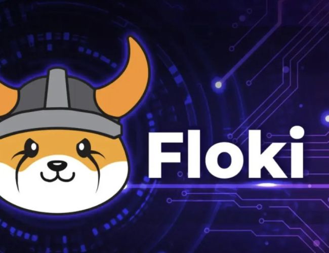 FLOKI запускает децентрализованную Службу Имен на BNB Chain