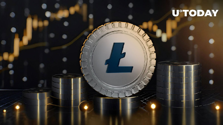 Рост активности сети Litecoin: недооценен ли LTC?