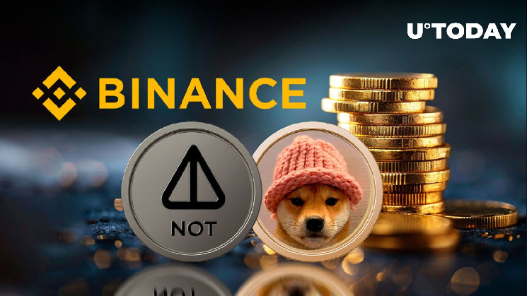 Новые листинги криптовалют на Binance: Notcoin и Dogwifhat