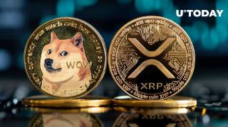 XRP и Dogecoin: битва за лидерство на рынке криптовалют