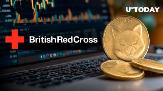 Шиба Ину: British Red Cross и пожертвования