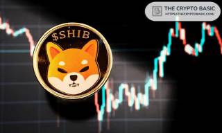 Факторы для бычьего ралли Shiba Inu: китовый интерес, рост адресов SHIB, ускоренное сжигание токенов и активность в соцсетях.