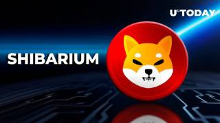 Впечатляющий рост Shibarium: объем транзакций увеличился на 441%