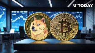 Выбор Dogecoin или Биткоина: Мнение Билли Маркуса