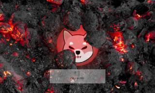 Shiba Inu: когда цена достигнет $0,0001, $0,005 и $0,01? Ожидания исследователей и биржи