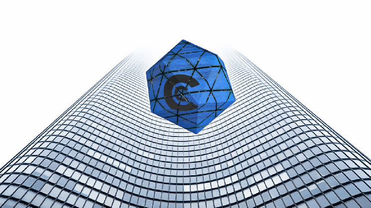 Отчет Altcoin 2024 Q3: рыночные инсайты и прогнозы