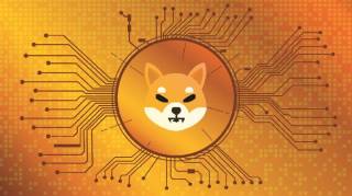 Исполнительный директор Shiba Inu (SHIB) обращается к сообществу: ключевые темы и достижения проекта.