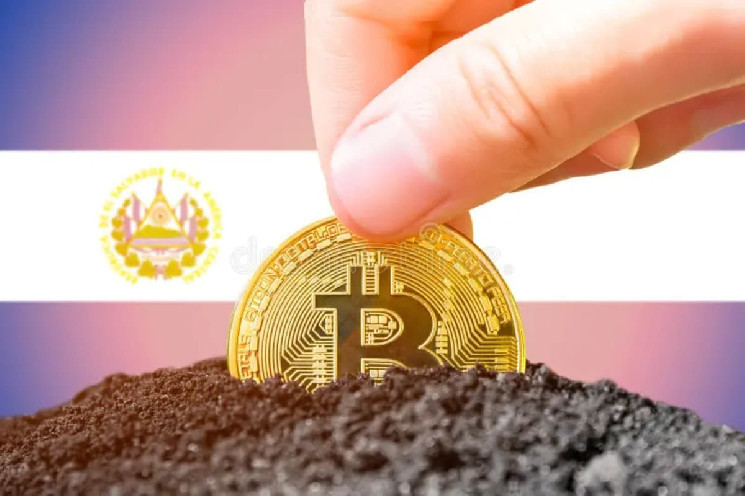 Bitcoin Breakthrough: Введение инновационного токена $ESOY, поддержанного соевыми зернами, El Salvador и E-Grains