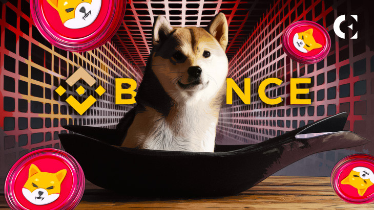 Забір китом $6,6 млн SHIB з Binance: аналіз ціни та тенденції