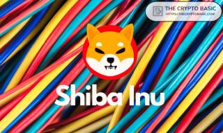 Shiba Inu (SHIB) - успехи и потенциал: Какой доход можно было получить от инвестиции в SHIB в размере 1000 долларов в 2020 году и что ожидать в будущем?