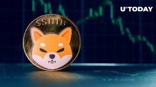 Исчезают киты Shiba Inu (SHIB)