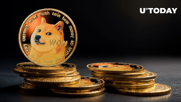 Киты двигают 6,93 млрд Dogecoin: рост и устойчивость