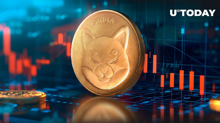 Зменшення активності китів: наслідки для Shiba Inu