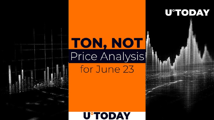 Прогноз ціни на TON та NOT: рост 📈