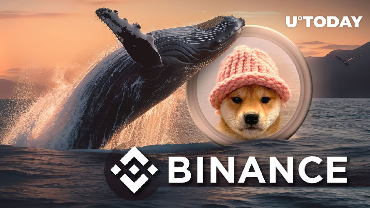 Биржа Binance получила 12,66 млн WIF от китов, Dogwifhat упал на 30%