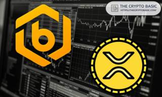 Bitrue призывает инвестировать в XRP