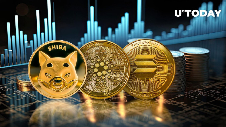 Криптовалюти SHIB, ADA, SOL: епічне відновлення на горизонті