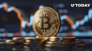 Найбільші медузи Bitcoin купили пів мільярда доларів